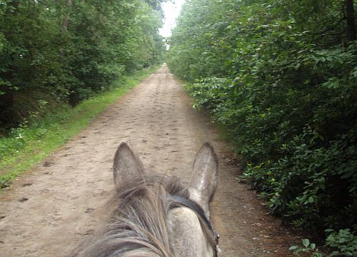 dagtocht8